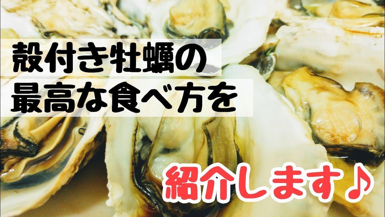 殻付き牡蠣はレンチンでぷりっぷりっの最高の蒸し牡蠣になる バター醤油でめしあがれ Youtube