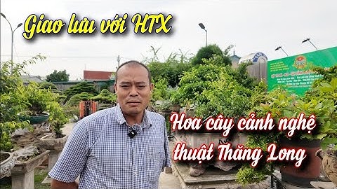 Giao lưu với Hợp tác xã hoa cây cảnh nghệ thuật Thăng Long Hà Nội | Tạp chí Việt Nam hương sắc 