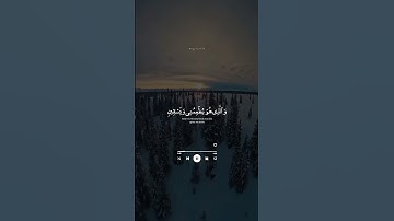 اكتب شي تؤجر عليه ❤ ｜ القارئ عبدالباسط عبدالصمد رحمه الله ｜ قرآن كريم