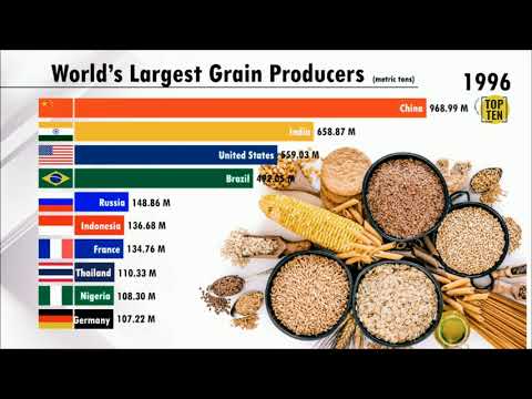 Top 10 World Largest Grain Producer Countries | The Daily Show With Erfan