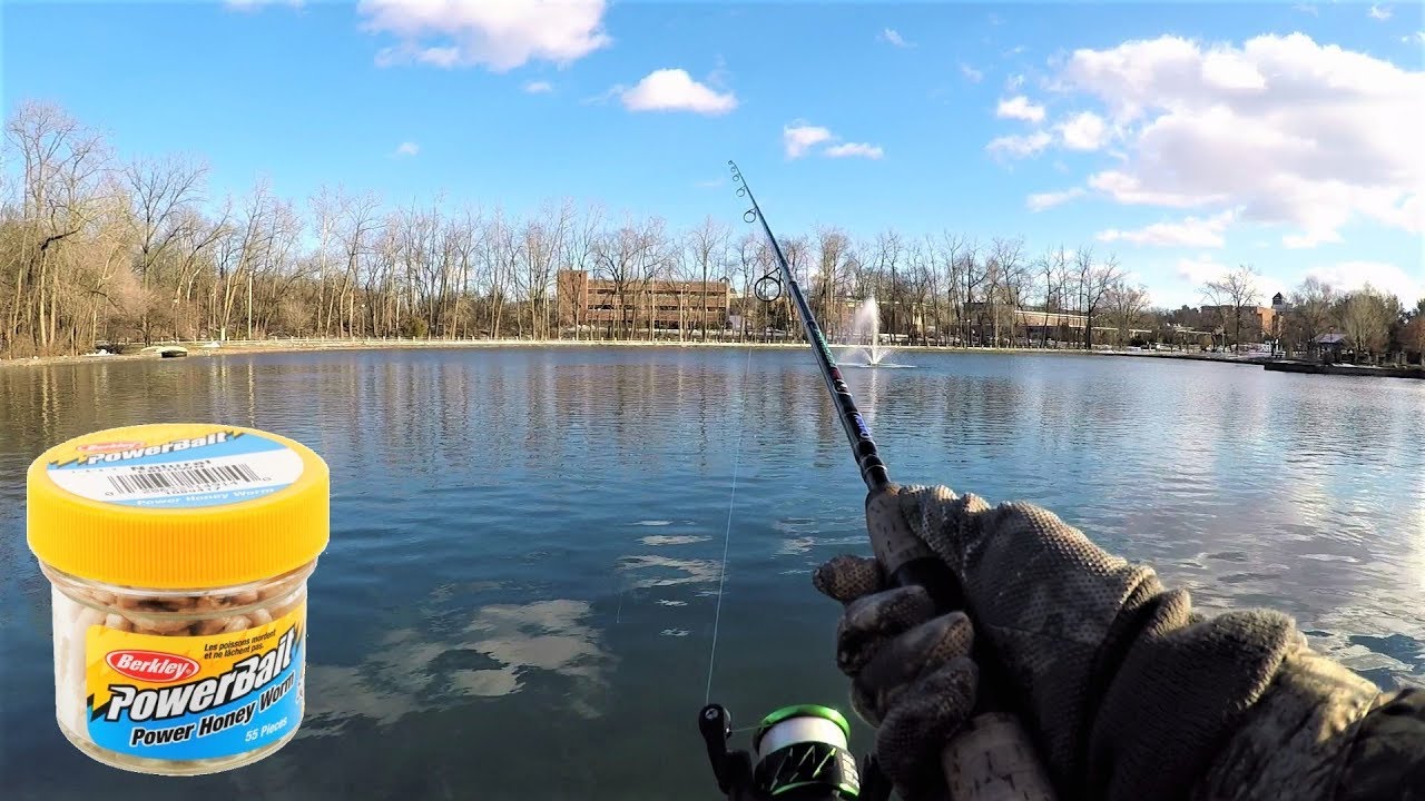 BEST Trout Bait? Trout Fishing with Honey Worms 