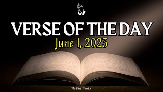Bible Verse of the Day - June 1, 2023 | The Bible Warrior