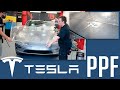 TESLA MODEL Y PPF Installation