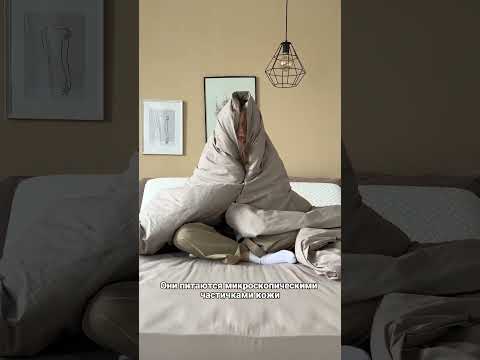 Теперь у тебя