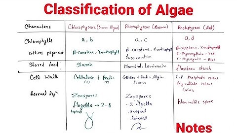 Algae Classification | Algae class 11 | Algae classification | Notes  | Algae class 11th | NCERT