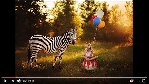 Apply Animal Overlays in Photoshop With Summerana