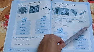 Bộ sách Kết nối tri thức với cuộc sống| Vở bài tập Tiếng Việt 1| Bài 46_49/42_45