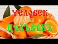 Человек. Буквица раскрывает суть этого слова. Вещает Арисвет