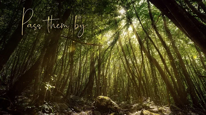 Pass them by - Agnes Obel (Orchestral Cover)