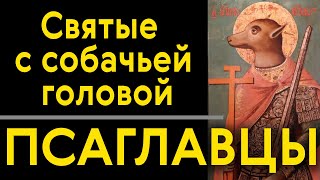 Псаглавцы - Святые С Собачьей Головой. Запись Эфира.