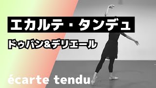 【Ballet】エカルテ・ドゥバン／エカルテ・デリエールのタンデュ(ecarte devant/derriere)【大人バレエ】