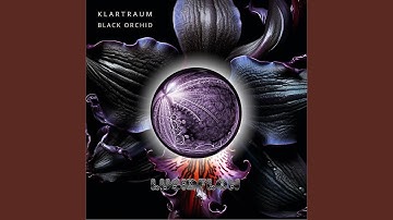 Thumbnail of Black Orchid