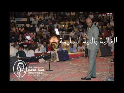 جمال فرفور طير الخداري