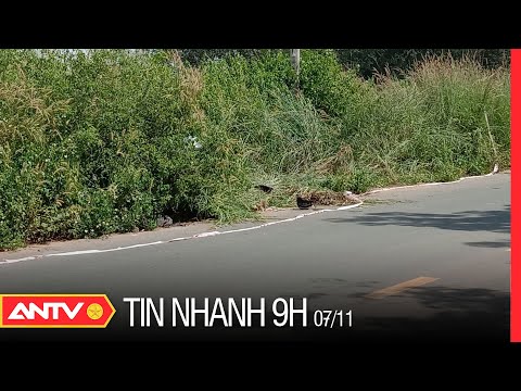 Giao Hàng Nhanh Bình Phước - Tin nhanh 9h ngày 7/11: Phát hiện nam thanh niên c.h.ế.t bất thường trong bụi cỏ ở Bình Phước | ANTV