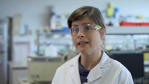 Biodesign Europe - Bioanalytical Systems