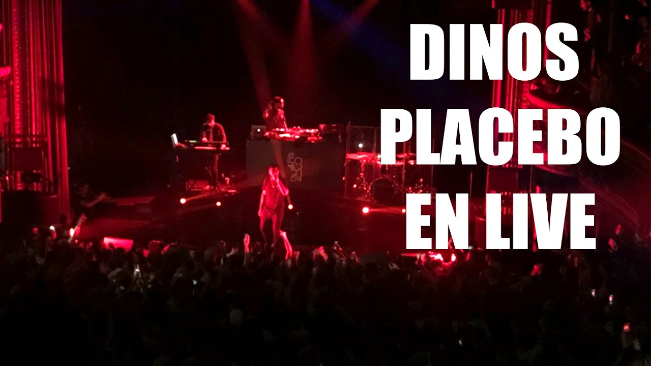 dinos placebo dinos placebo