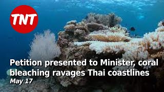 Petition presented to Health Minister, coral bleaching ravages Thai coastlines - May 17 screenshot 3