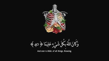 سورة الأحزاب من 36 الى 48 | Al-ahzab