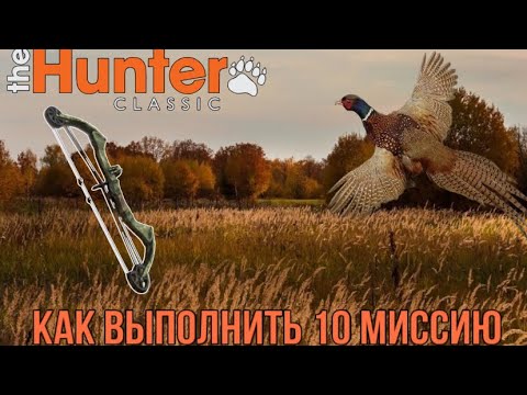 Видео: The Hunter Classic Фазан! как выполнить 10 миссию! Охота на фазана подробный гайд для новичков!