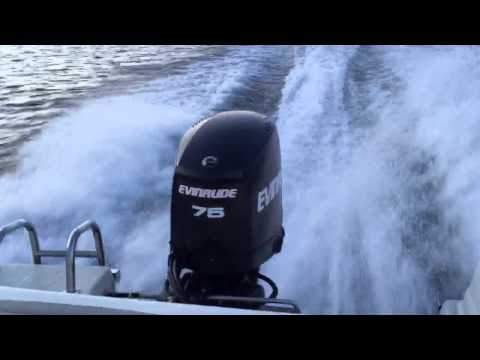 Evinrude E-tec 75 hp test.