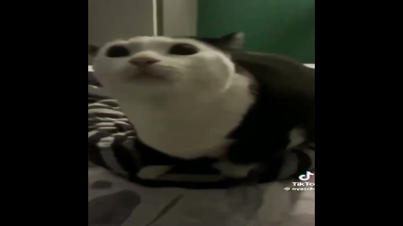 21st century humor part 146