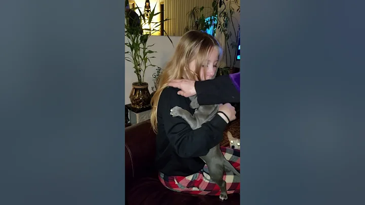 Surprise Puppy