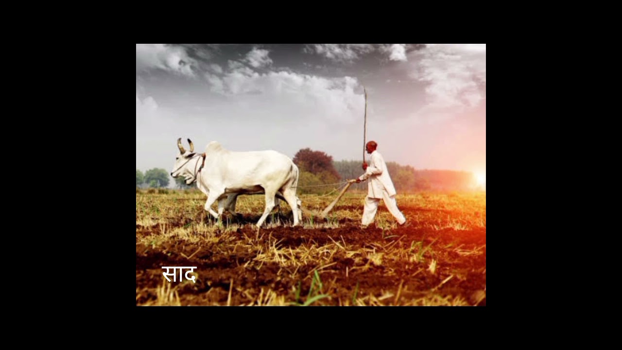 malhar vari 💖🥀 lyrics 💖 feel the music with earphone 🎧#share#subscribe#comment#status#like