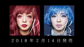 てらベスト vol.2 "B"＆"R" スポット映像