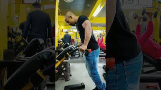 Parallel Bar Dips Workout Hayeper Machine