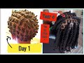 ZION’S 4 YEAR LOC JOURNEY | DAY 1 to YEAR 4 | *HIGHLY REQUESTED UPDATE*