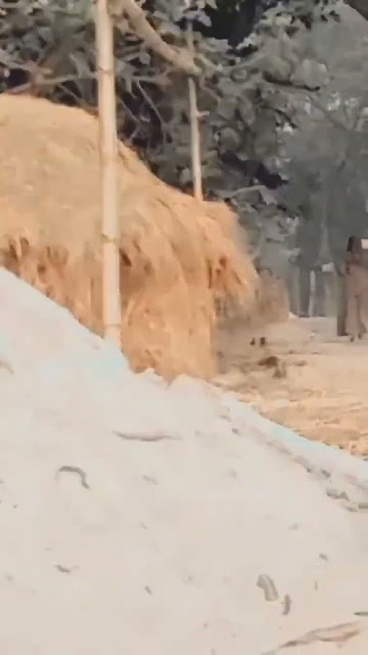 https://vt.tiktok.com/ZS8PRBYKN/