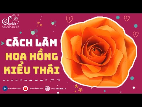 Hướng dẫn cách làm hoa hồng  handmade  size 20cm kiểu Thái Lan | Giant flower -VIDEO SỐ 16