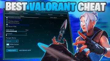 Testing the BEST Valorant Cheat of 2025... (I Got Immortal)