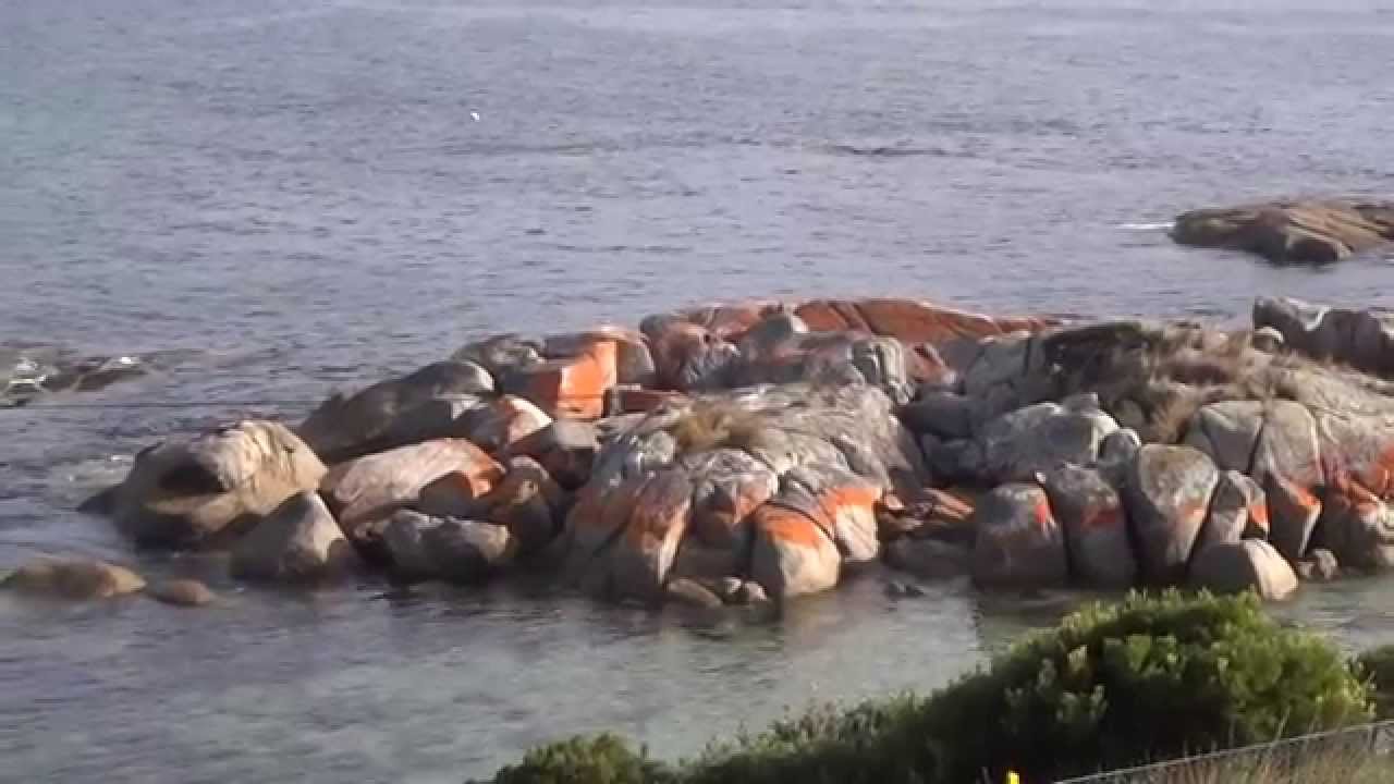 Bay of Fires YouTube