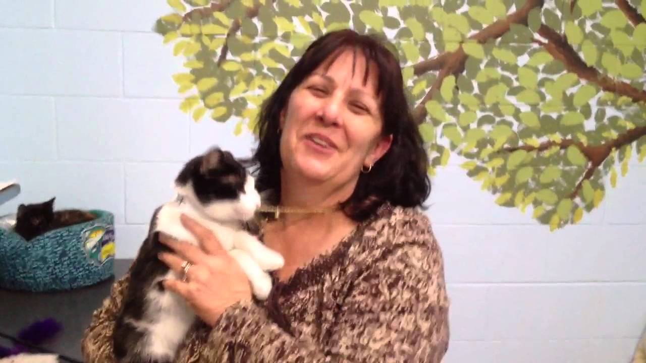 newspaper mockup Clay Pet Showcase