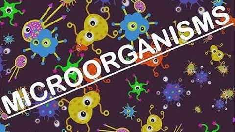 STORY OF MICROORGANISMS - PART 1 || 8th CLASS BIOLOGY