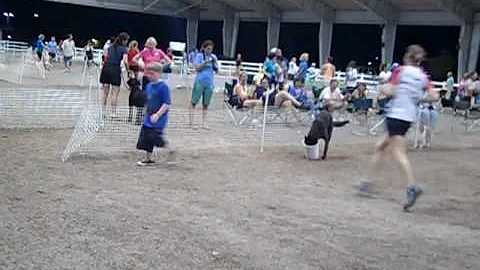 Debbie Willey And Belgian Malinois Dinah - Exc JWW