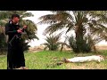 جبار وجاره وتدخل السوسه بنصهم وطلايب الارض mp3