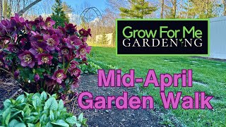 Mid April Garden CheckIn