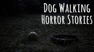 3 Disturbing TRUE Dog Walking Horror Stories