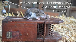 Rare Antique 1843 Mouse Trap In Action & Removing a Botfly Maggot From a Live Mouse, Earliest Photographs of Washington DC: 1843-1866, Taarak Mehta Ka Ooltah Chashmah - तारक मेहता - Episode 1843 - 6th January, 2016, Candy Crush Saga Level 1843 - NO BOOSTERS