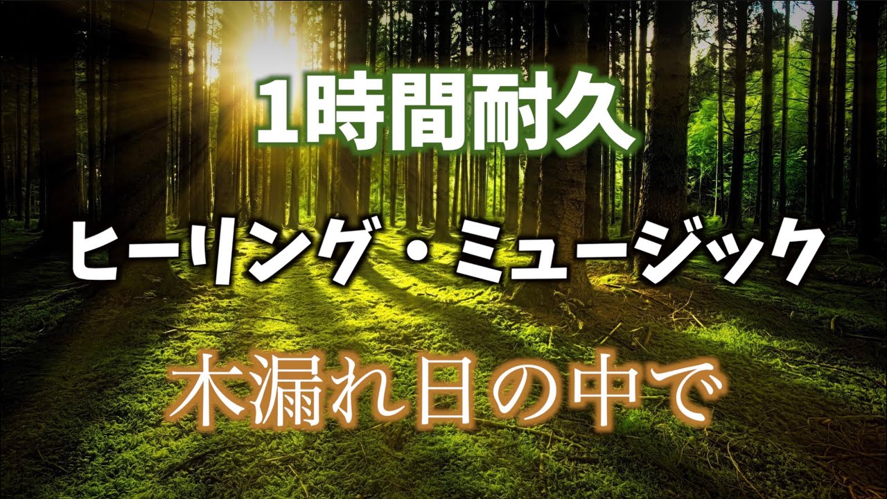 ⭐︎オリジナルヒーリング音楽創ります 自分色のヒーリング音楽⭐︎ 作業用BGM】ピアノヒーリング音楽「木漏れ日の中で」【著作権フリーBGM