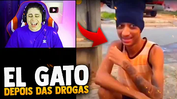 Como está El Gato hoje em dia?