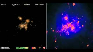 illustris movie L75n1820FP stars rho FOF43 1pMpc