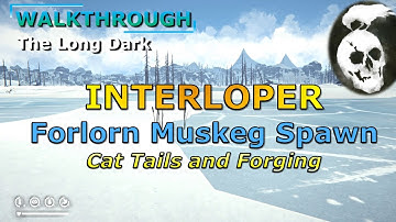 Interloper Walkthrough - Forlorn Muskeg spawn