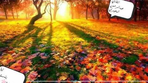 ‏علمتني سورة يوسف.أن أنزع اليأس من قلبي،مهما بلغت بي حالة البؤس،القارئ عبدالرحمن المطيري