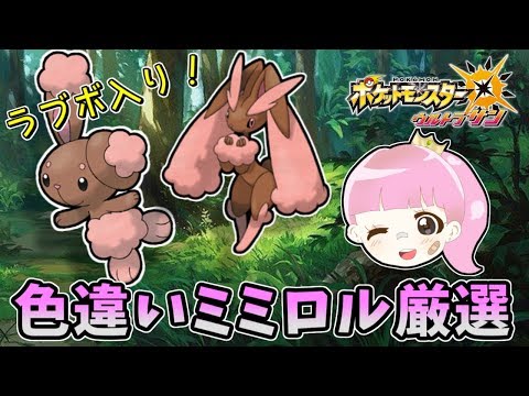 ポケモンusum 色違いミミロル孵化厳選 Youtube