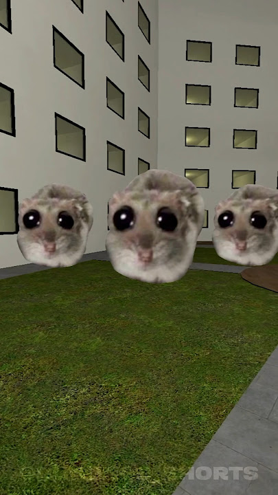 Escape Nextbots Microscopic And Giant Sad Hamster Meme In Liminal Hotel Nextbot Gmod