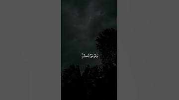 القارئ : مشاري العفاسي﴿وَعَسَىٰ أَن تَكْرَهُوا شَيْئًا وَهُوَ خَيْرٌ لَّكُمْ ۖ﴾[ البقرة 216]