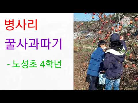 병사1리 무료봉사 사과체험
